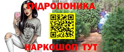 a pvp Бузулук