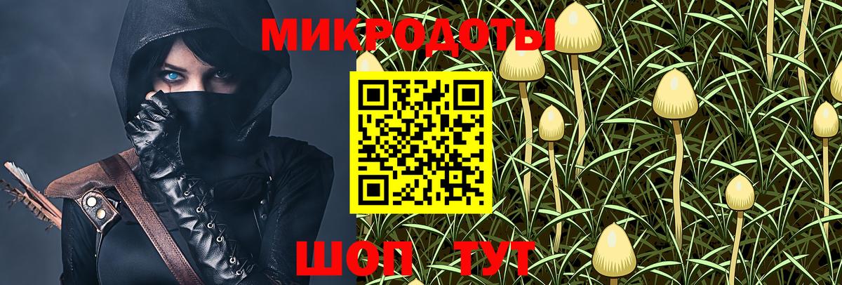 Хабаровск  Псилоцибиновые грибы ЛСД  Вход с VPN 