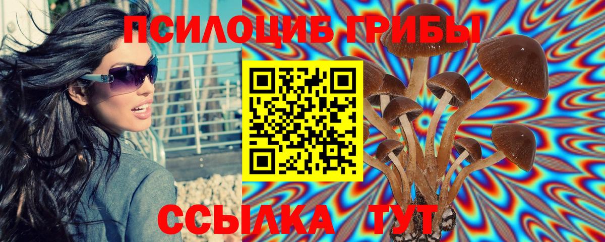 Псилоцибиновые грибы GOLDEN TEACHER Хабаровск